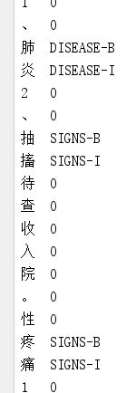 使用 BIO 标注后的数据